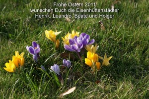Frühlingsblüher